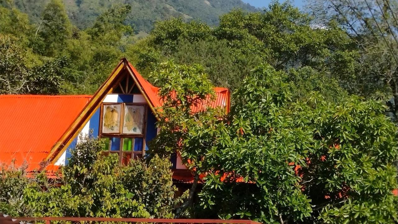 Hospedaje Rural Tupinamba Ibagué Esterno foto